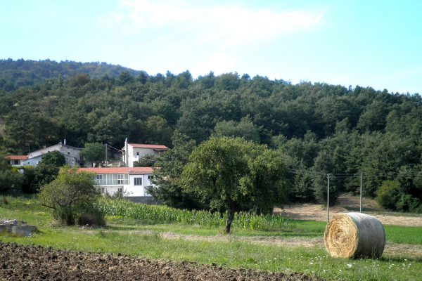Esterno
