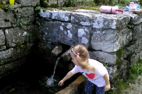 Fontana acqua del monte